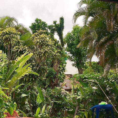 Garden Stone Hostel Puerto Iguazú Kültér fotó