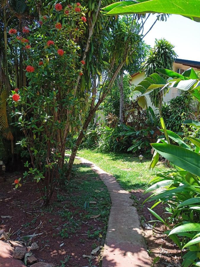 Garden Stone Hostel Puerto Iguazú Kültér fotó