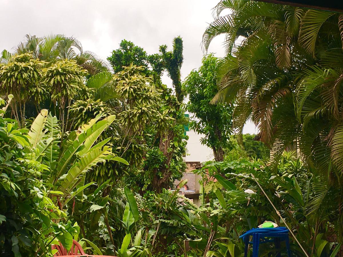 Garden Stone Hostel Puerto Iguazú Kültér fotó